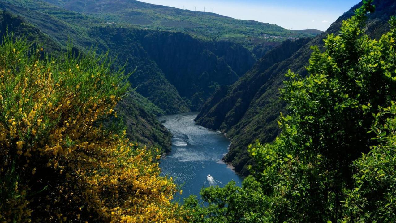 Villa Morin Grey Casa En El Corazon De La Ribeira Sacra Monforte De Lemos Exterior foto